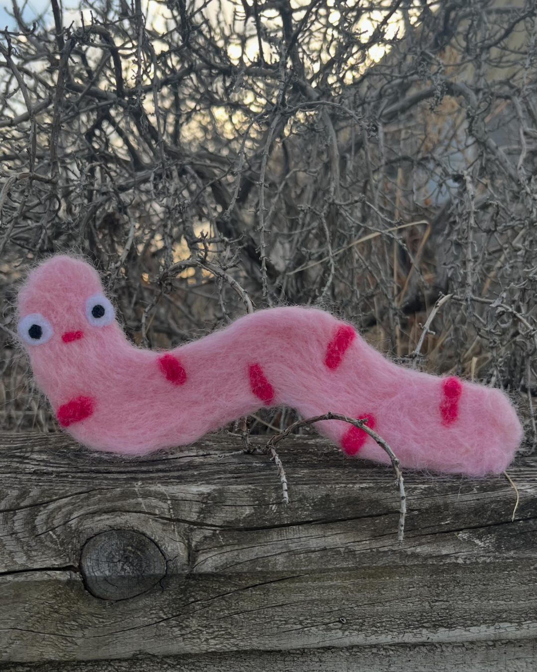 Worm bookmark