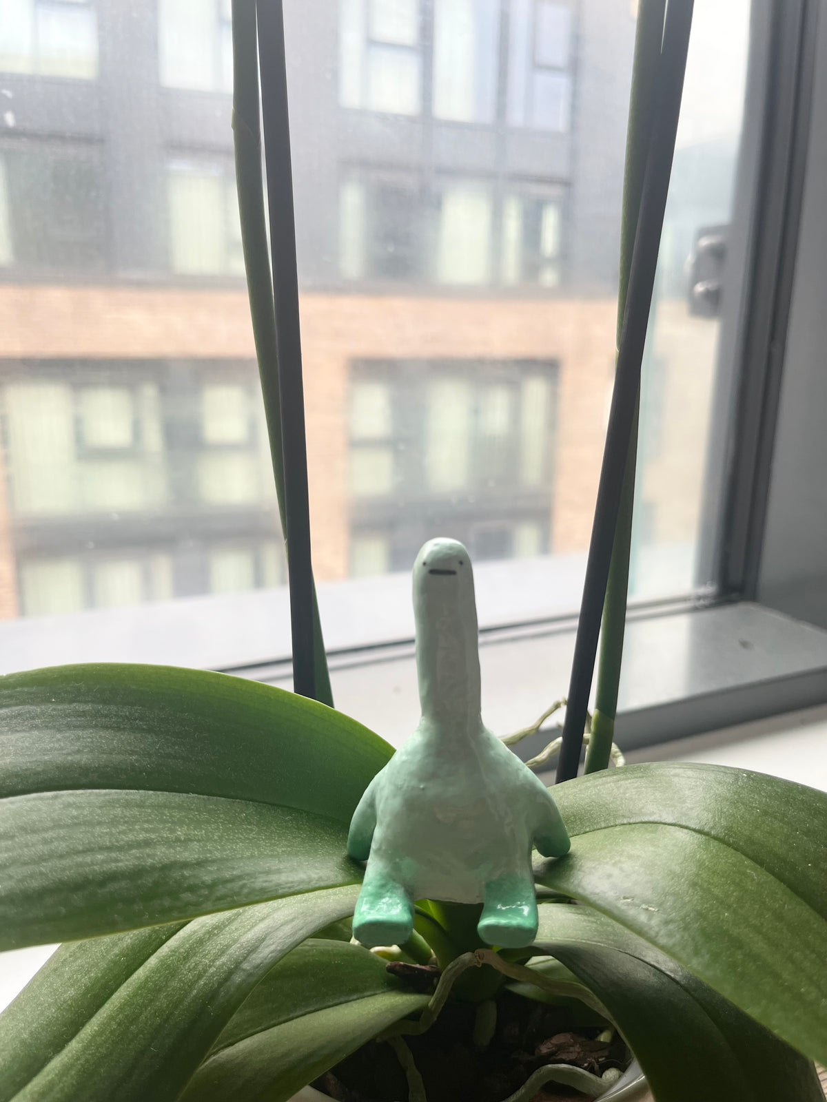 long necks